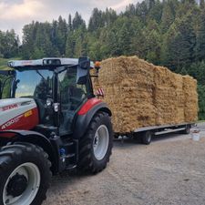 Profile image of Steyr4130