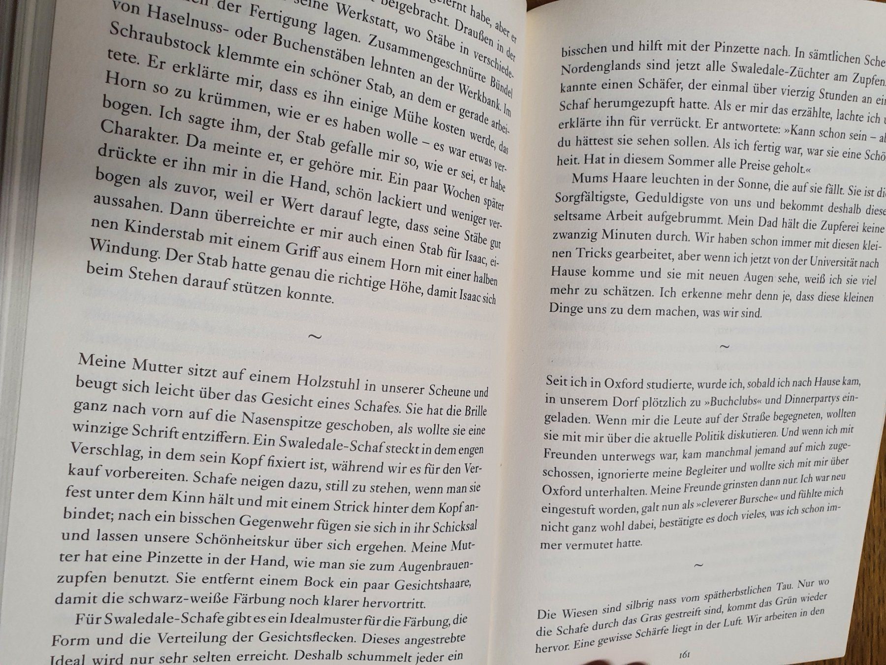 Libri: James Rebanks - mein Leben als Schäfer – Usato da Oberdorf BL venduto da BaldenEagle 1