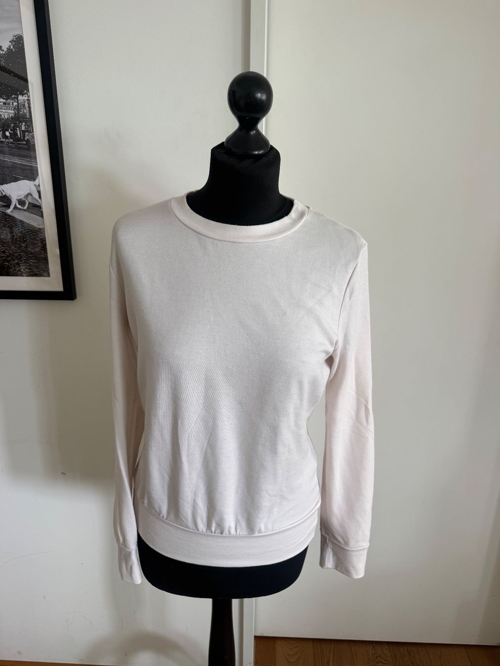 Ina Kess Pullover & Sweatshirts: Original Ina kess Merino Pullover  Creme s – Gebraucht aus Wallisellen von Aboutfashion