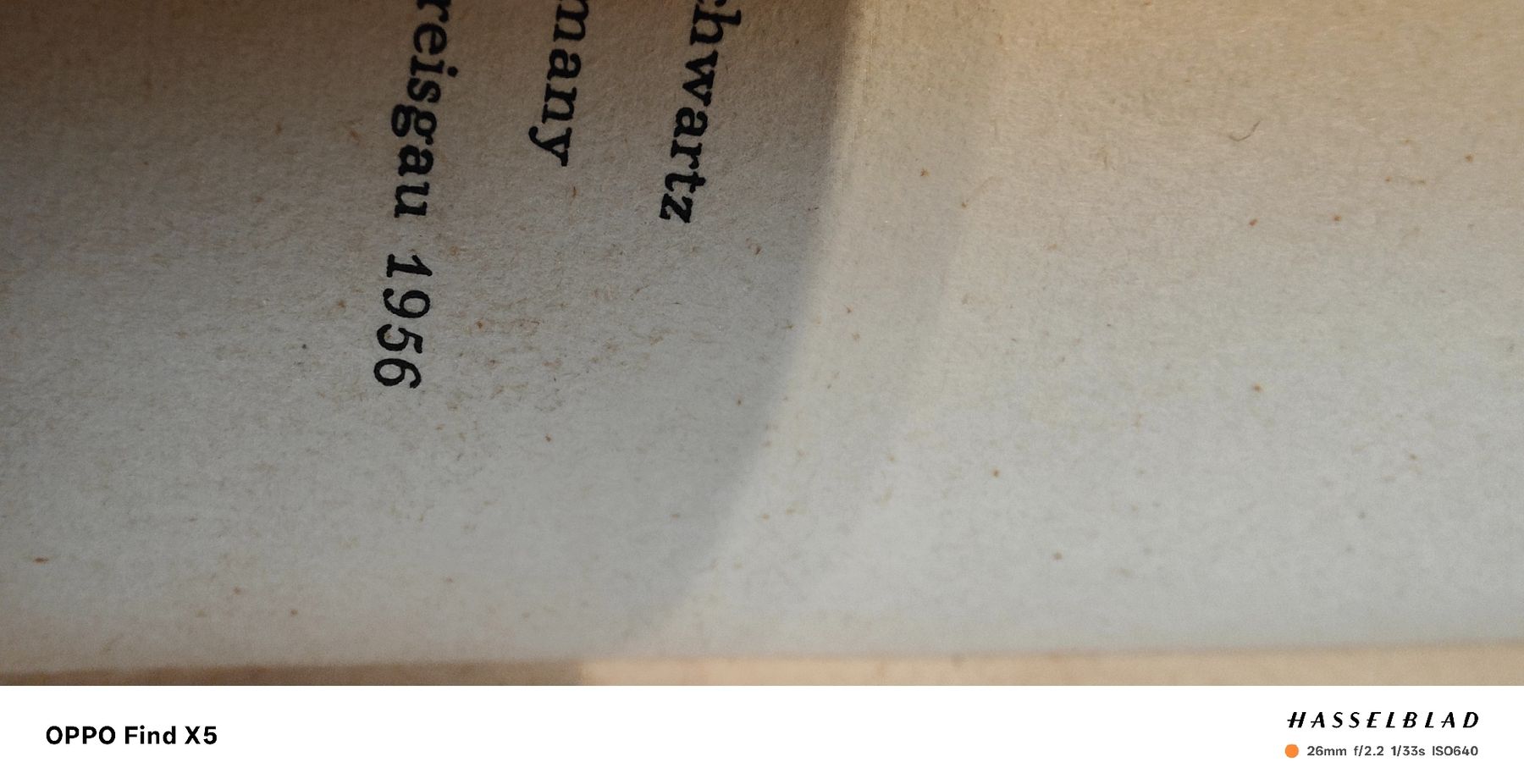 Libri: Der Hund mit dem halben Ohr – Usato da Volken venduto da katz5 6