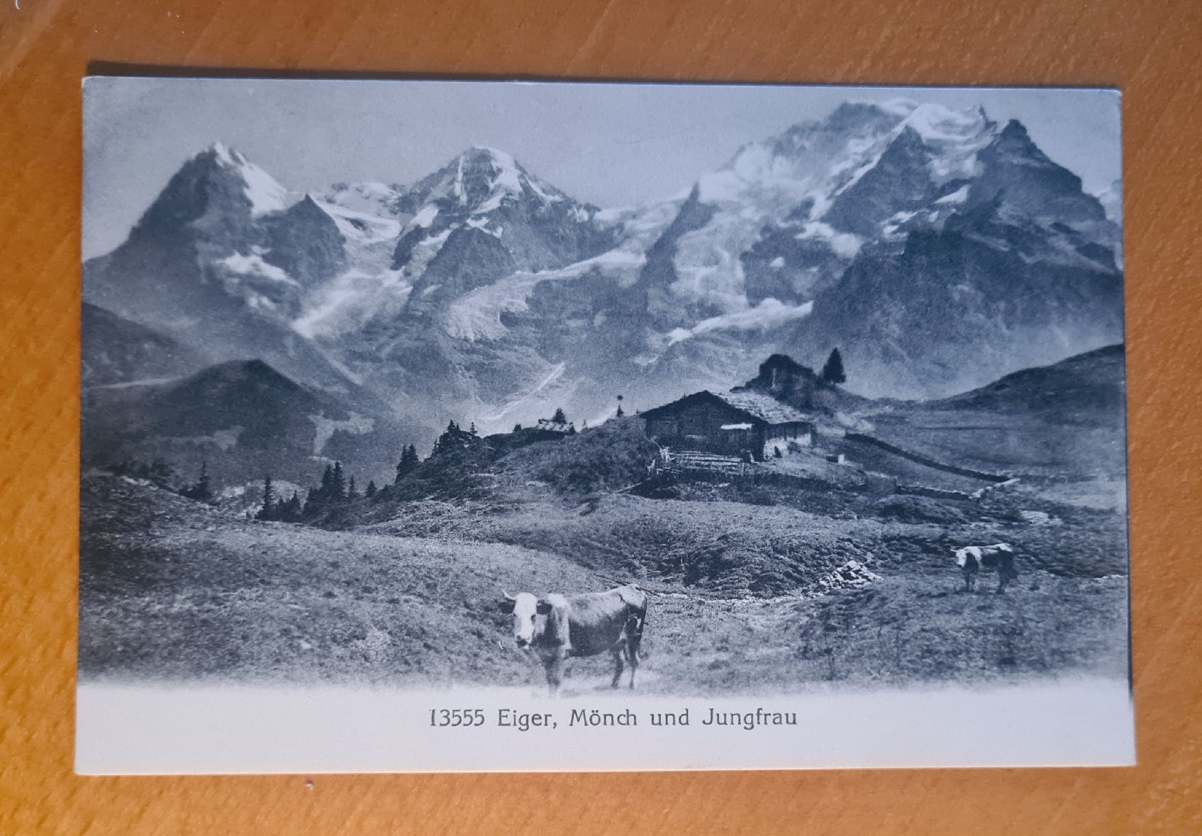 Cartoline postali: Alte Karte Eiger, Mönch und Jungfrau – Usato da Ebikon venduto da Donar50