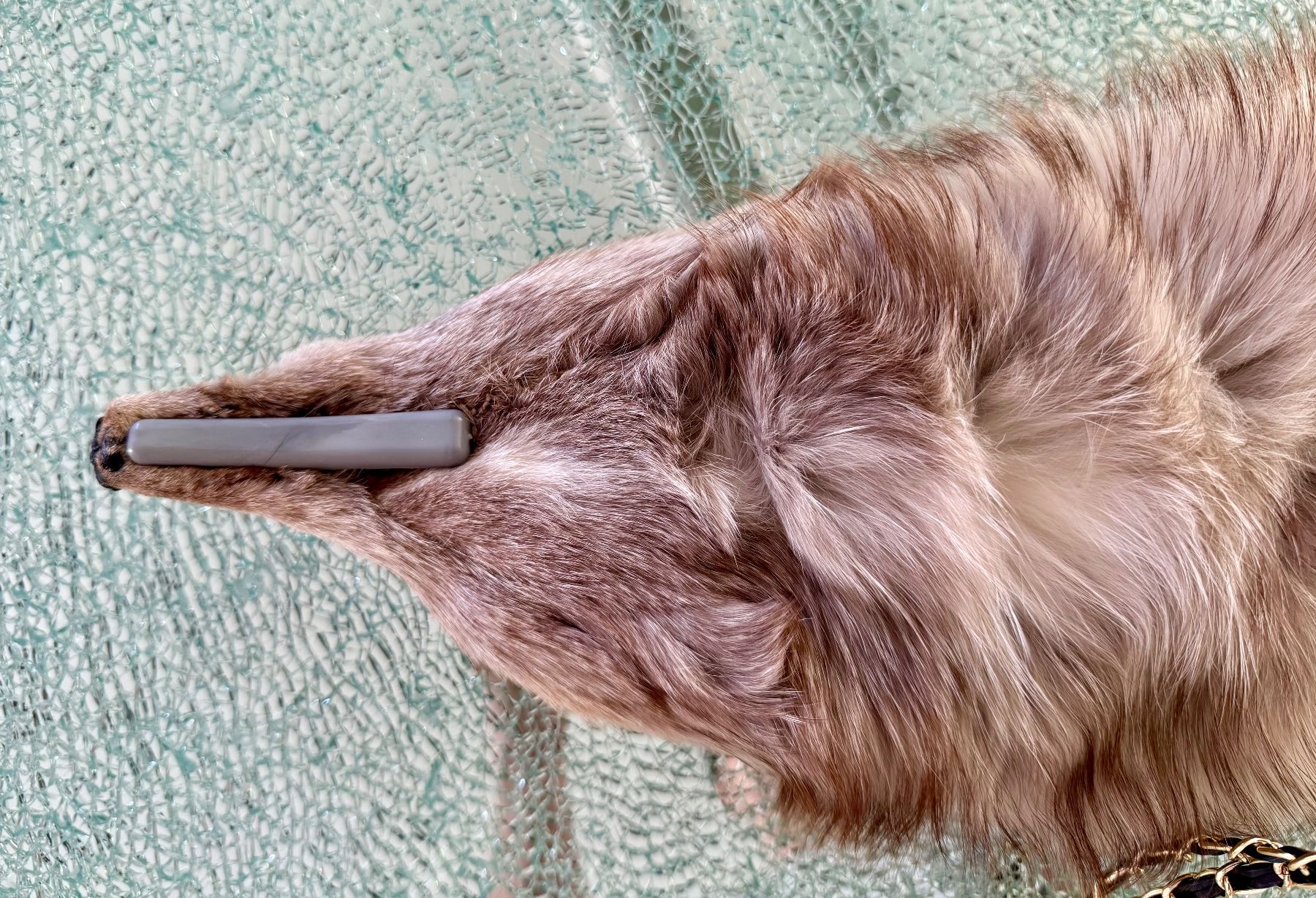 Foulard & Sciarpe: Luxuriöse Silberfuchs Stola – Usato da Muttenz venduto da wyhaegli 2