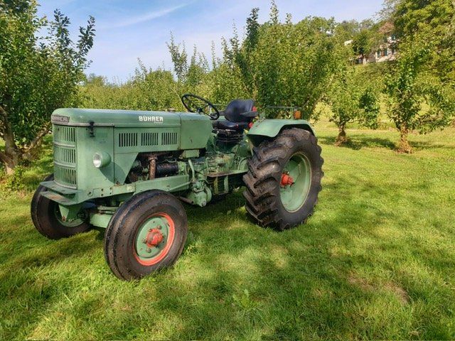 Bührer Traktoren: Traktor Bührer PF 18 Tractospeed – Gebraucht aus Seewen SO von rowebe90