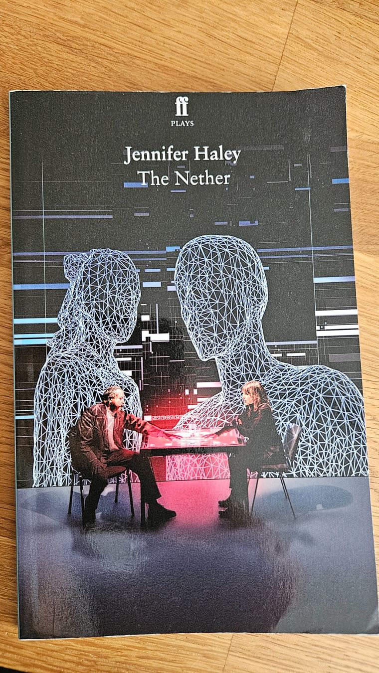 Libri: The Nether - Jennifer Haley – Usato da Dintikon venduto da Zaza_Lolo