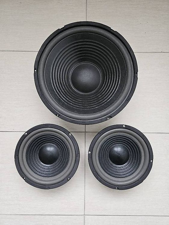 Kicker C124 sub 12 Comp con 300 w (43C124) | Subwoofer - Subwoofer