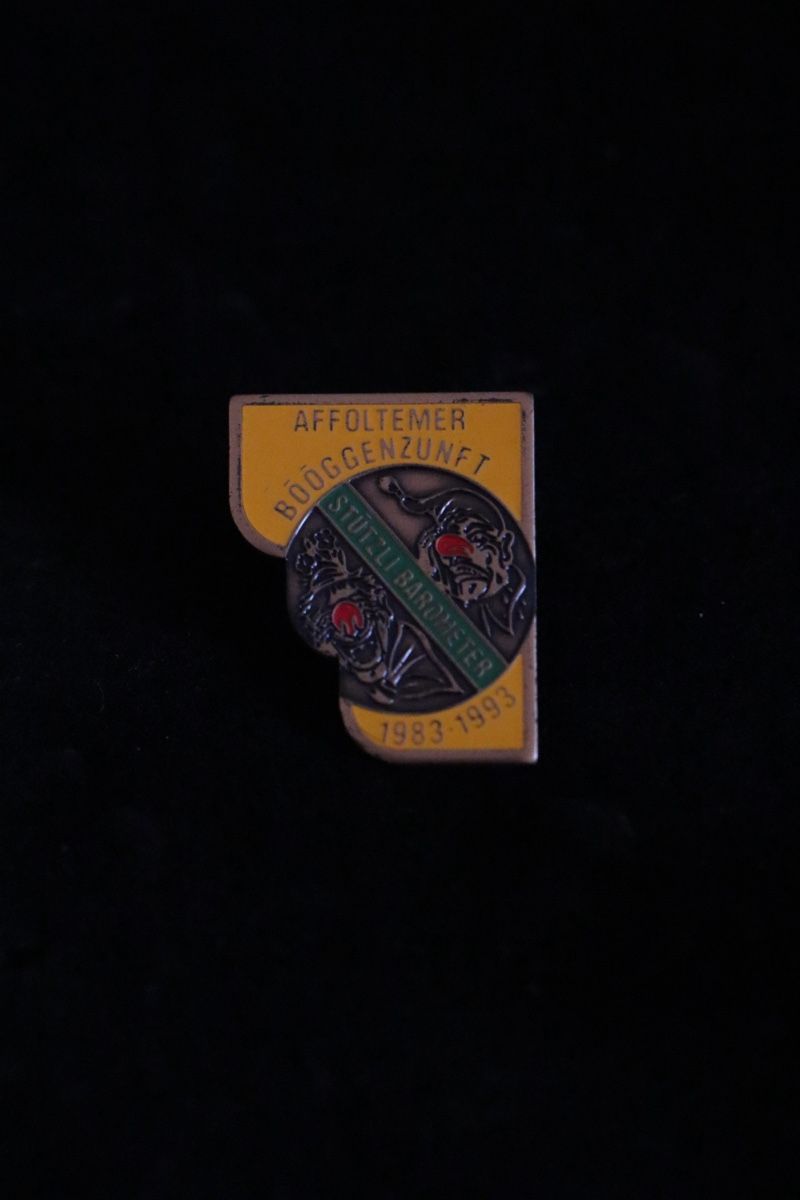 Placchette & Badge: Affoltern am Albis PIN‘s – Usato da Ottenbach venduto da siiinnaa_77 2