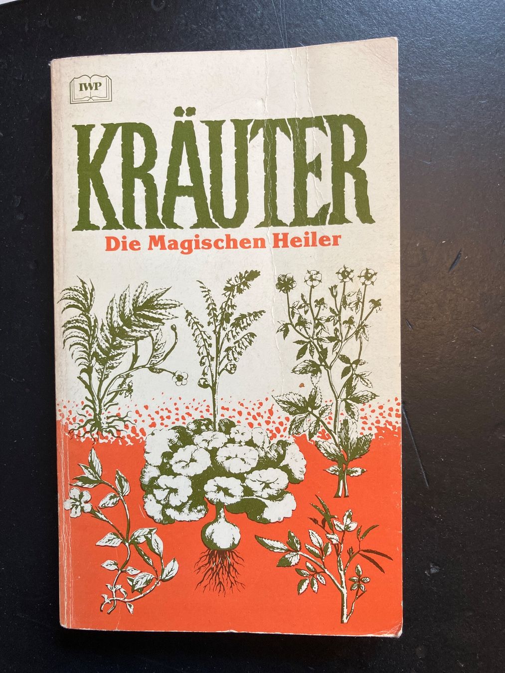 Libri: Kräuter. Die magischen Heiler – Usato da Wangen ZH venduto da day01