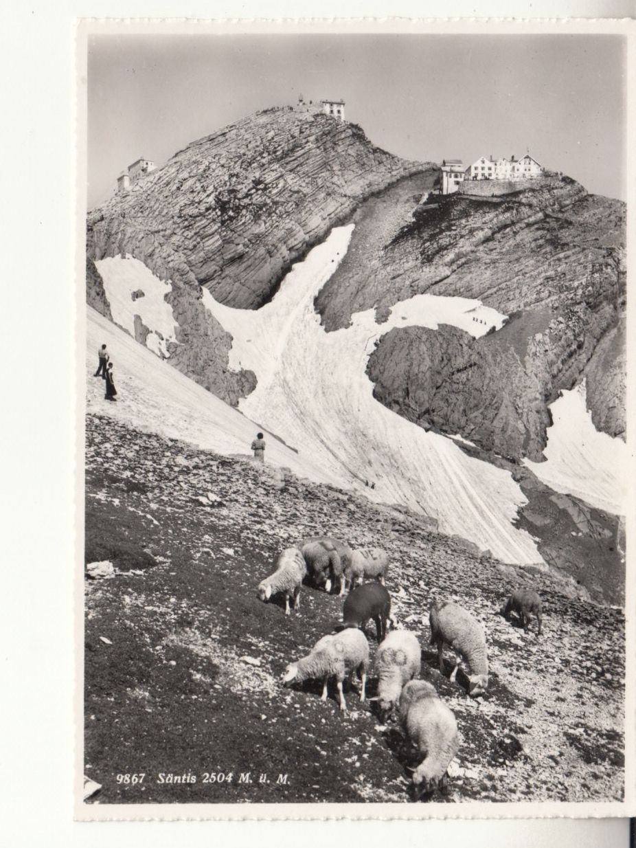 Cartoline postali: Säntis ca. 1940 – Usato da Bürglen TG venduto da StampGraf