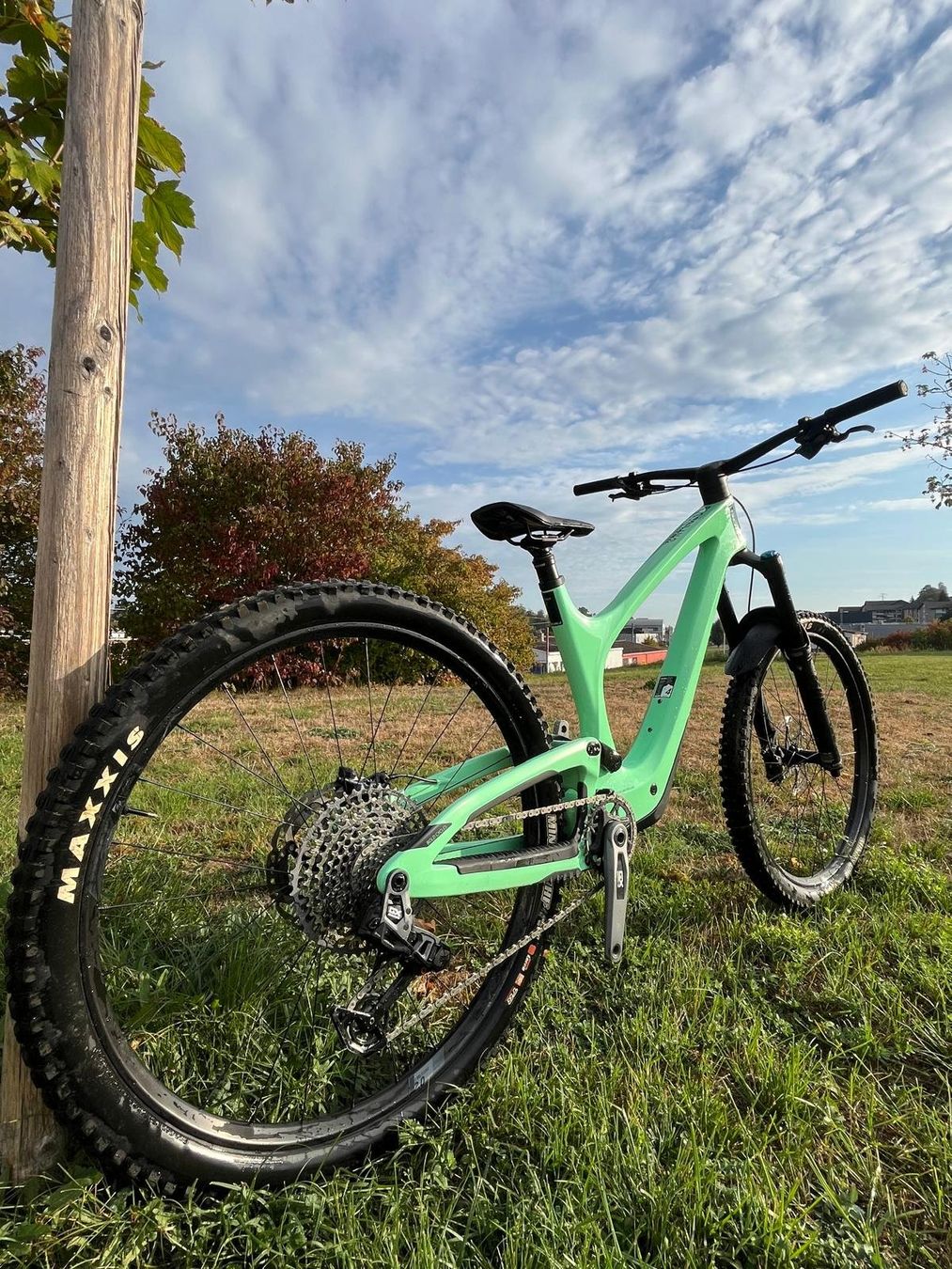 Biciclette: Bold Unplugged PRO TR – Usato da Belfaux venduto da leh_g9k8 5