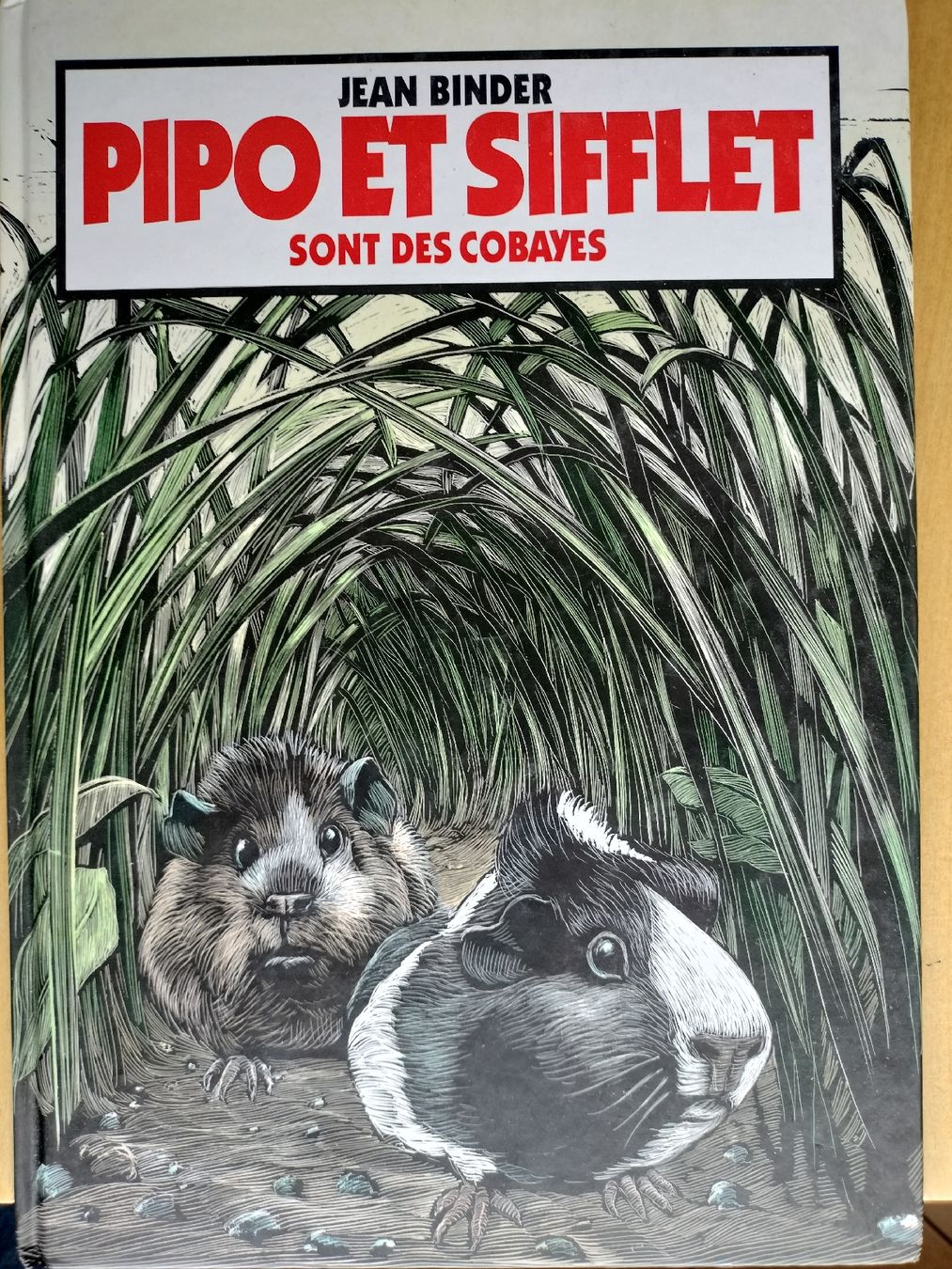 BD: Französische Comics – D'occasion à Schwanden Sigrisw par cadieux71 3