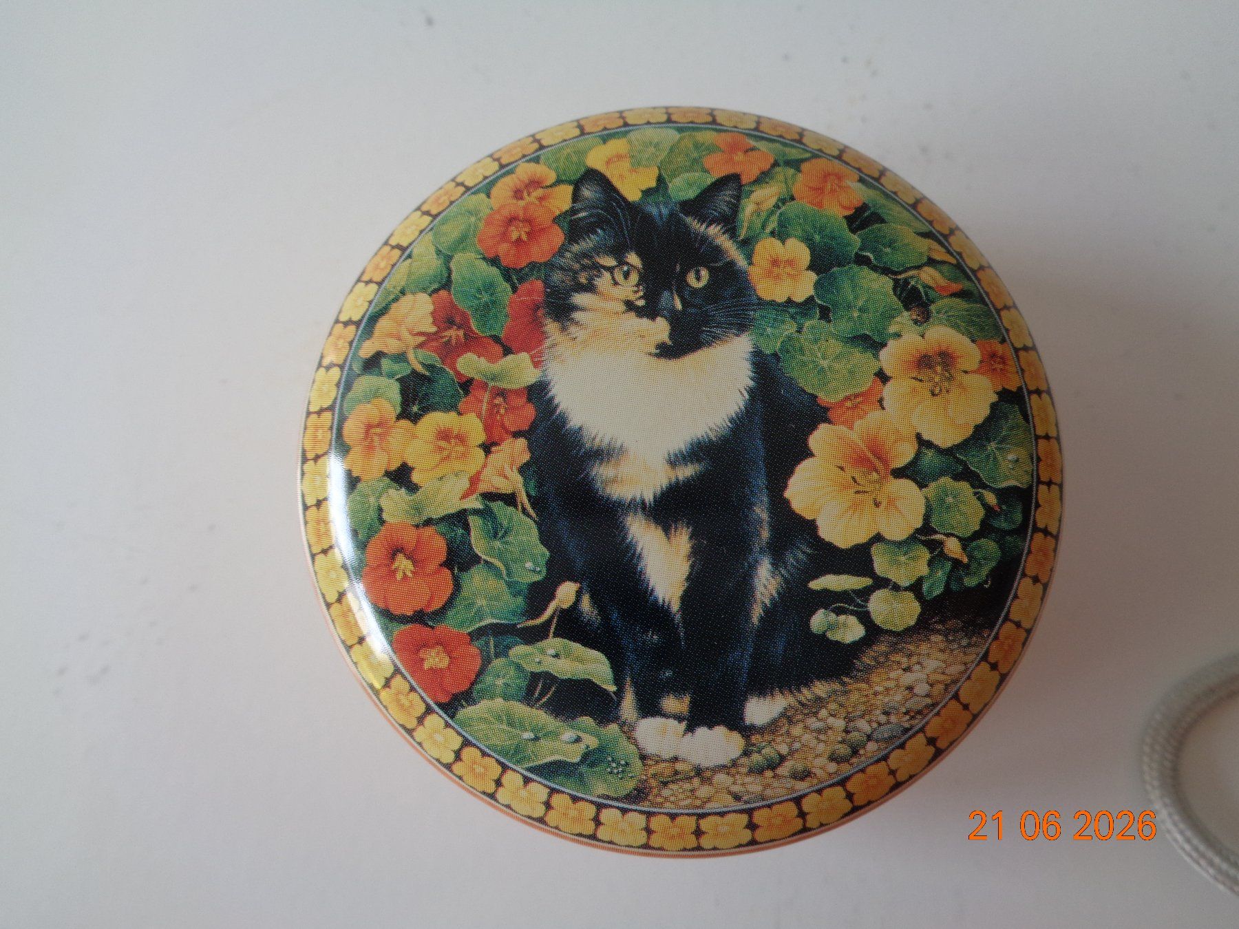 Altro in Decorazioni & Accessori: Kleine Blechdose Katze, 6.5 x 3 cm, Neu – Nuovo (secondo la descrizione) da Wiesendangen venduto da Gullfoss