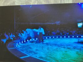 Circus Knie Foto 2004