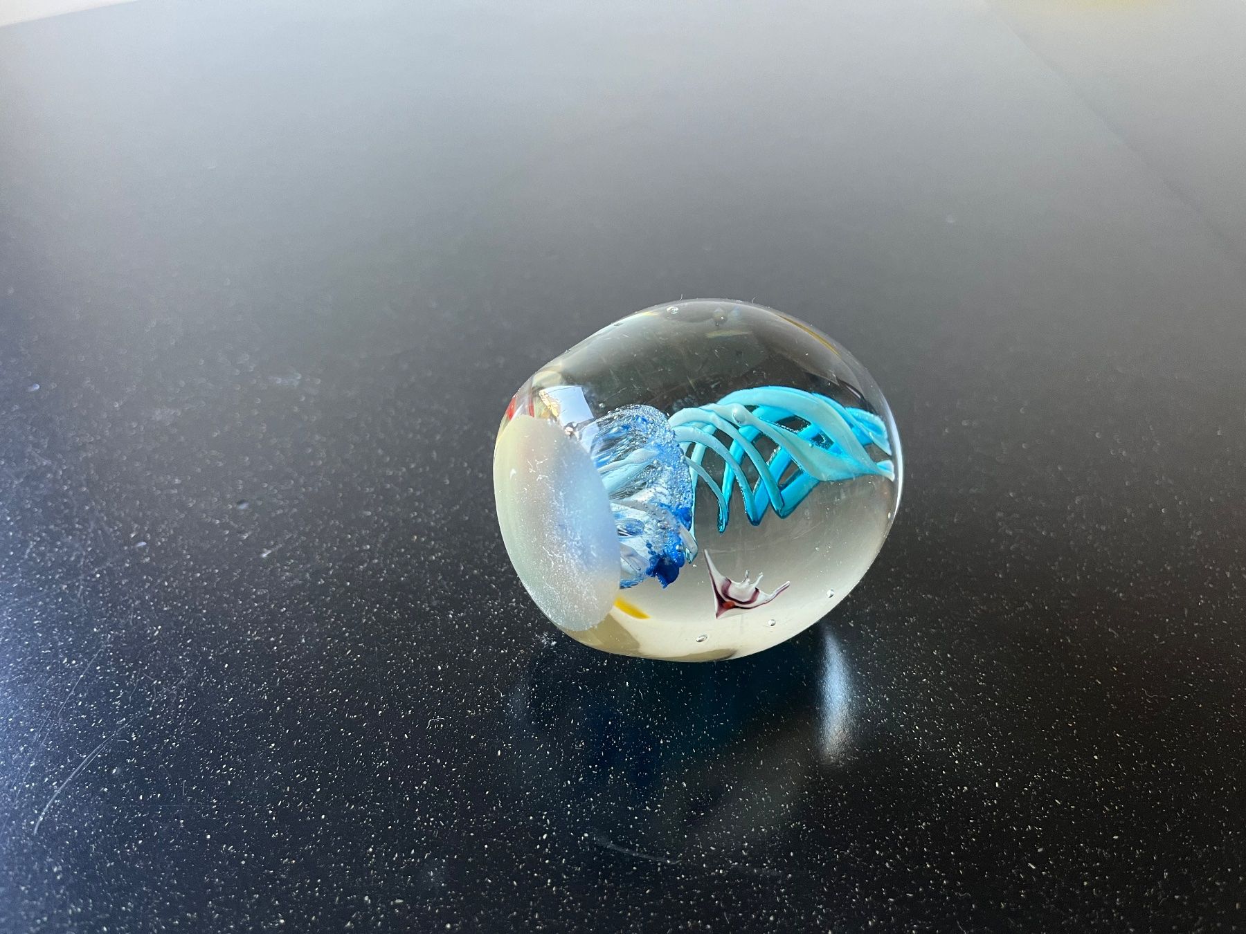 Murano Bicchieri: Murano Aquarium-Briefbeschwerer – Usato da Zürich venduto da omni64 8