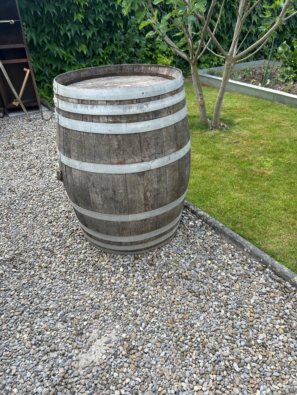 Sonstiges: Eichenfass – Gebraucht aus Niederrohrdorf von luxury100