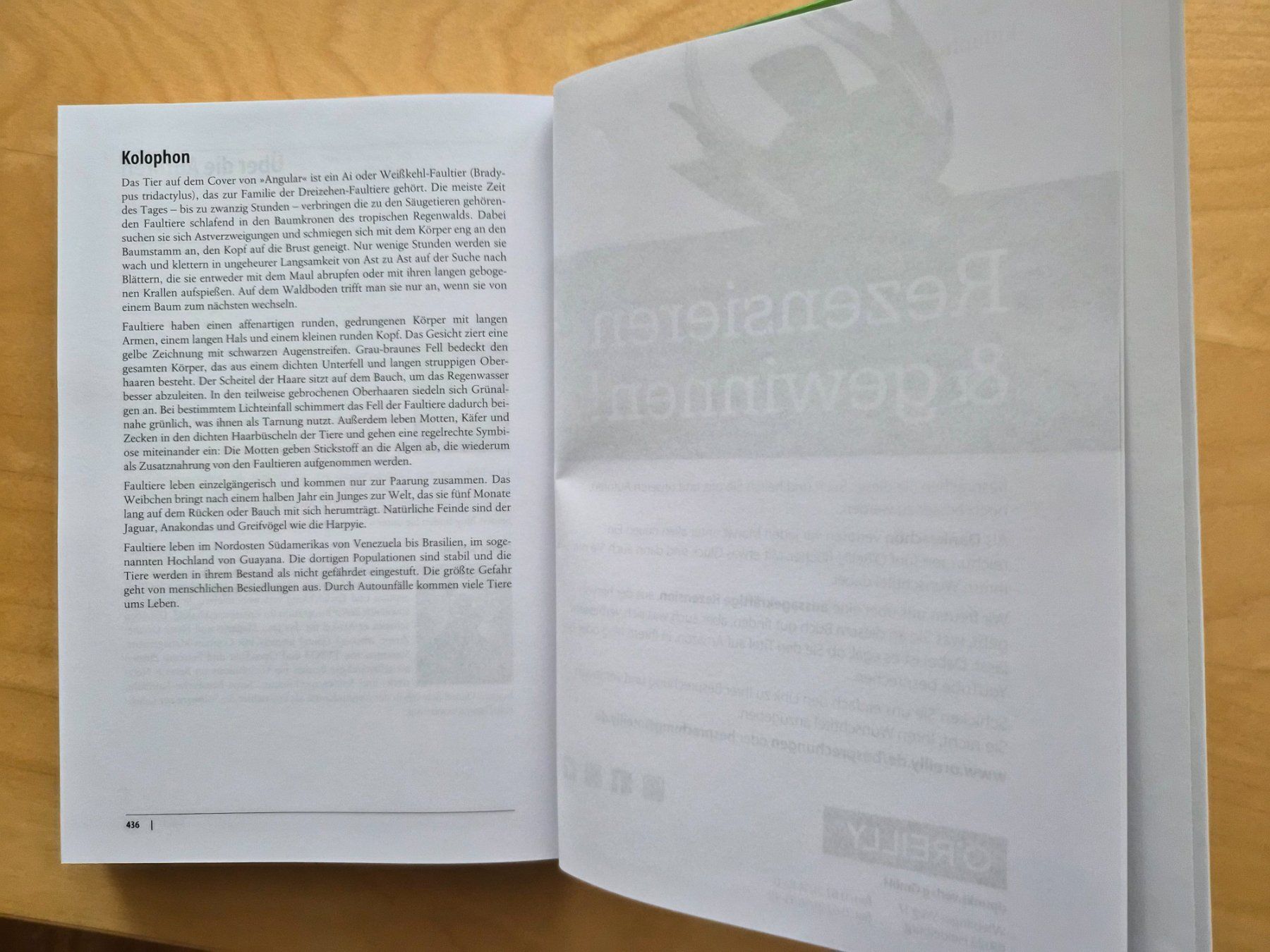 Libri: Angular: Das Praxisbuch zu Grundlagen und Best Practices – Usato da Alpnach Dorf venduto da findelmundo 4