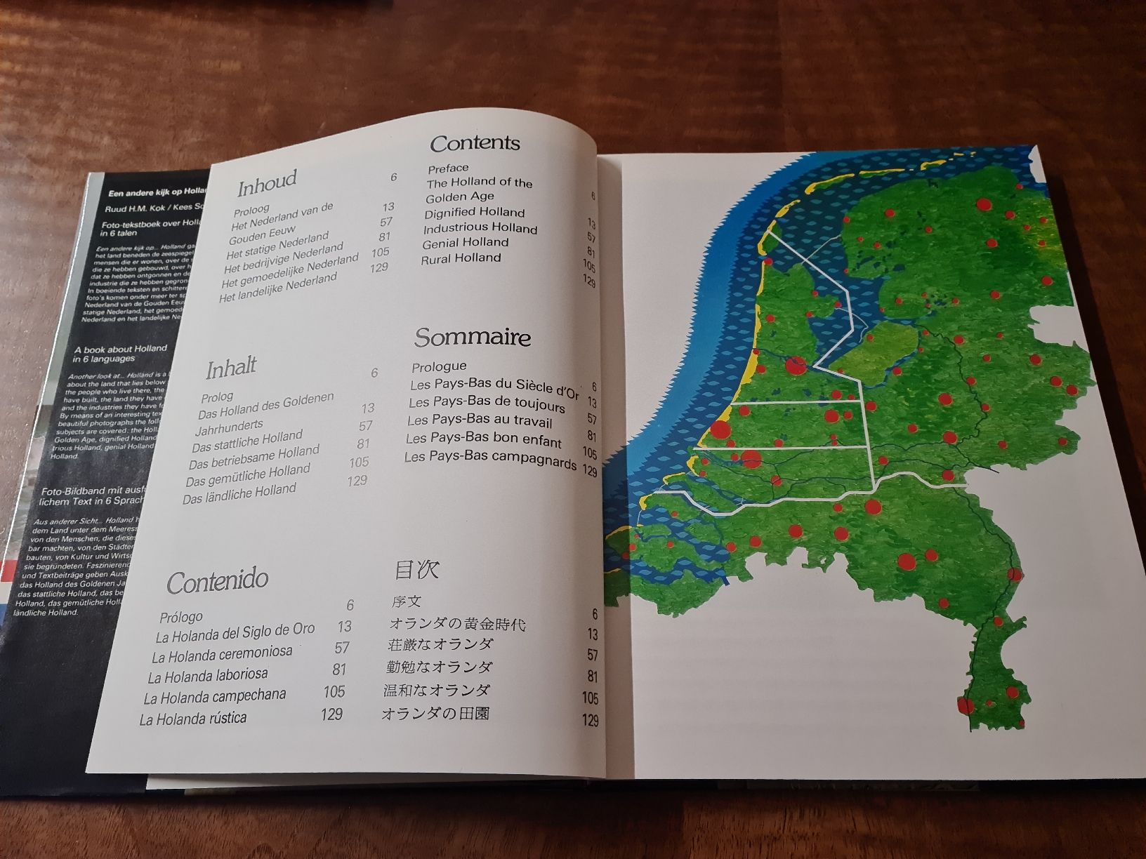 Libri: Holland – Usato da Erstfeld venduto da Uhu1980 1