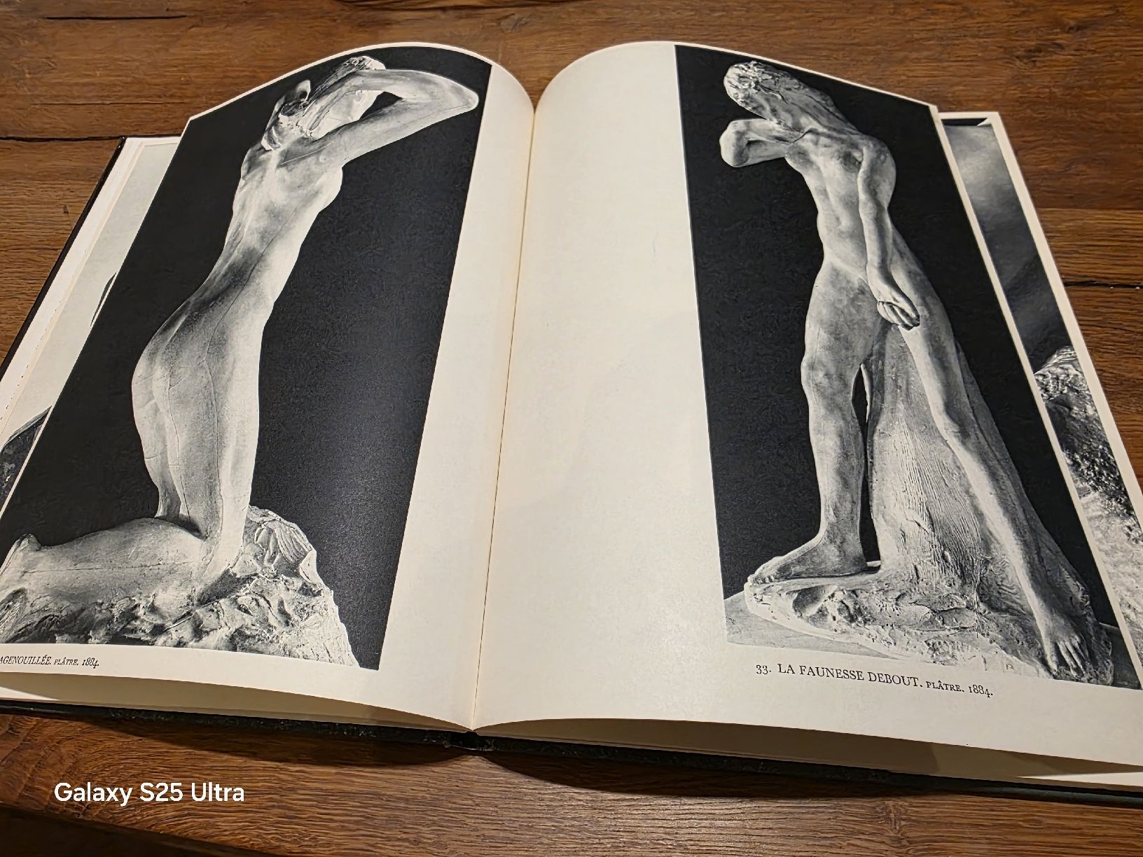 Bücher: Buch AUGUSTE RODIN F. HAZAN gebraucht – Gebraucht aus Mellingen von 81pat 1