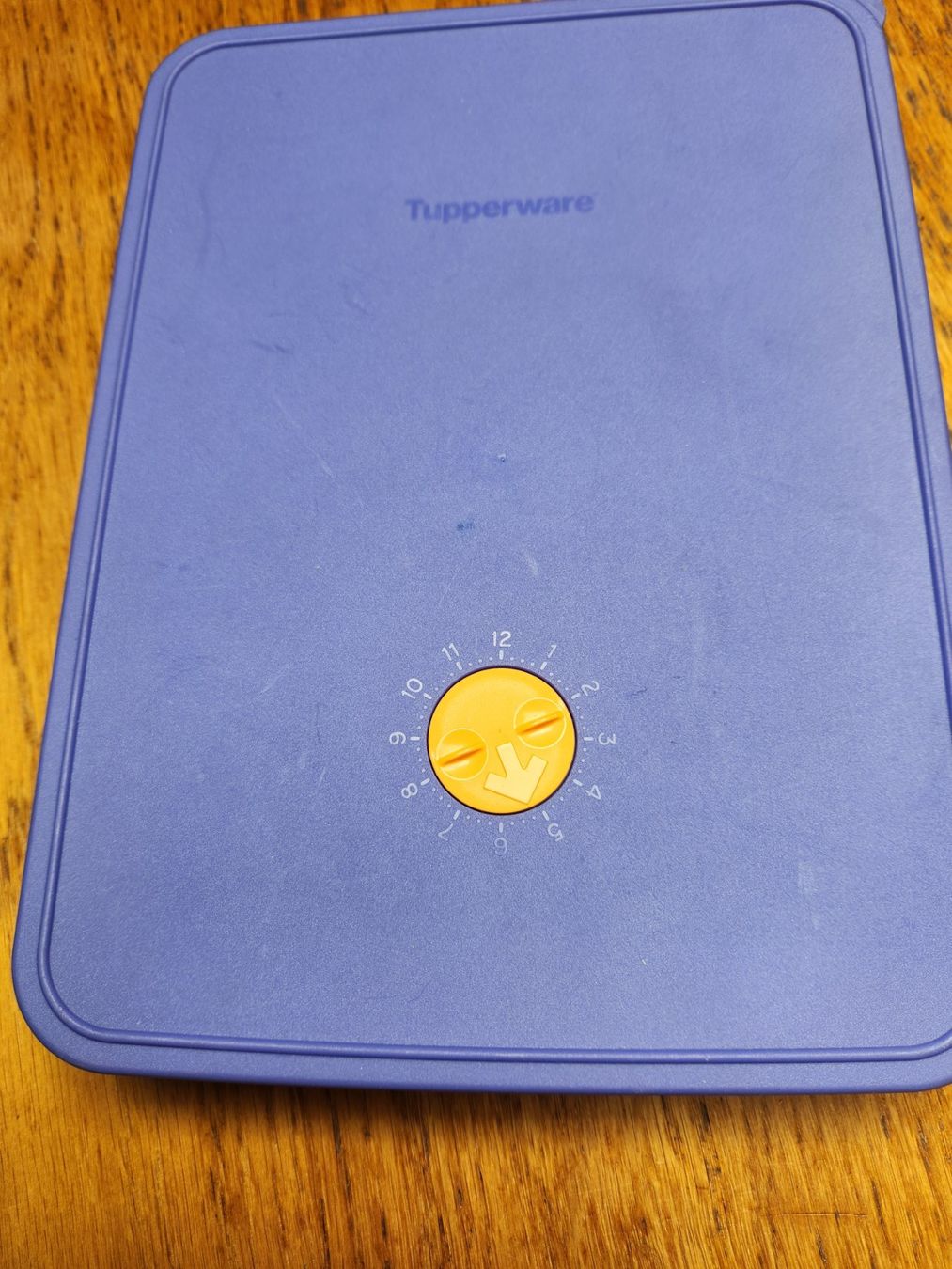 Tupperware Contenitori & Simili: Tupperware Kühlschrank/Tiefkühlbehälter – Usato da Gstaad venduto da Meiel2020