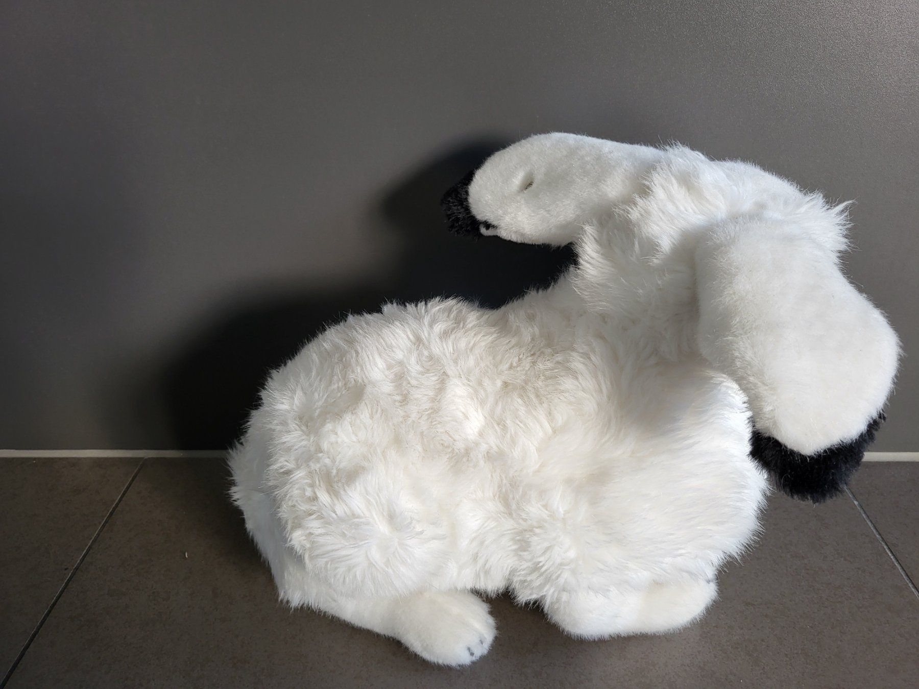 Steiff Spielzeuge: Steiff Hase – Neu (gemäss Beschreibung) aus Zürich von Orchidee 2