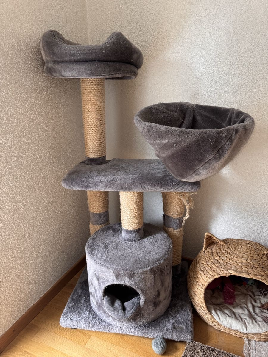 Arbres à chats: Arbre à chat – D'occasion à Court par swaelti01