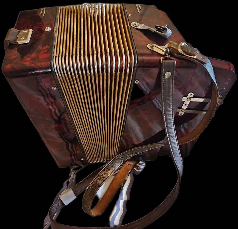 Musikinstrumente: Accordéon diatonique – Gebraucht aus Genève von swissaddress 2