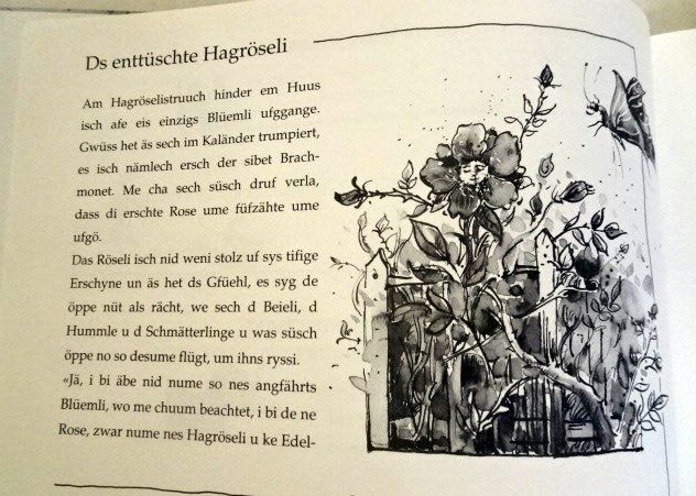 Libri: Ds Hündli mit em Fallschirm Elisabeth Lüthi – Usato da Wetzikon ZH venduto da strubeli024 2