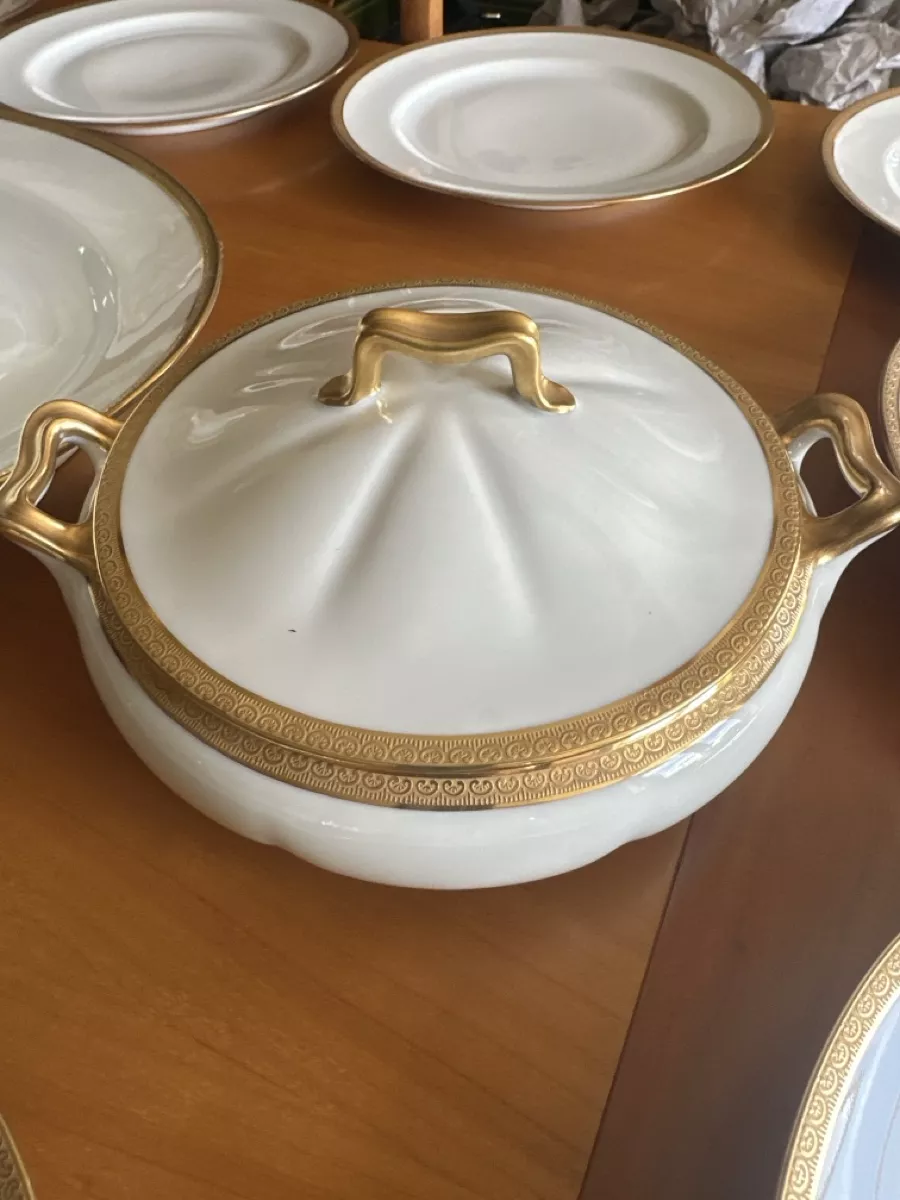 Set di piatti: Limoges Speiseservice – Usato da Brugg AG venduto da Floh1001 3