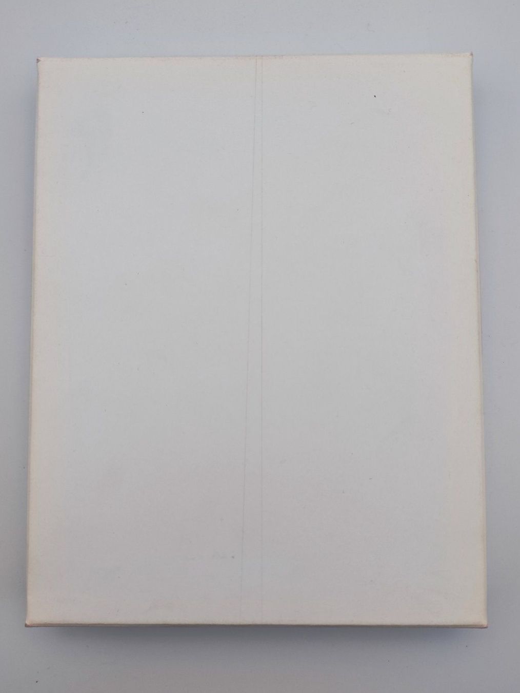 Libri: BLINKY PALERMO - OBJEKTE - 1973 – Usato da Goldach venduto da Gaip 1