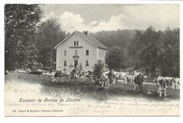 Souvenir de Grottes de Réclère (JU) Rest. - Damvant - 1903