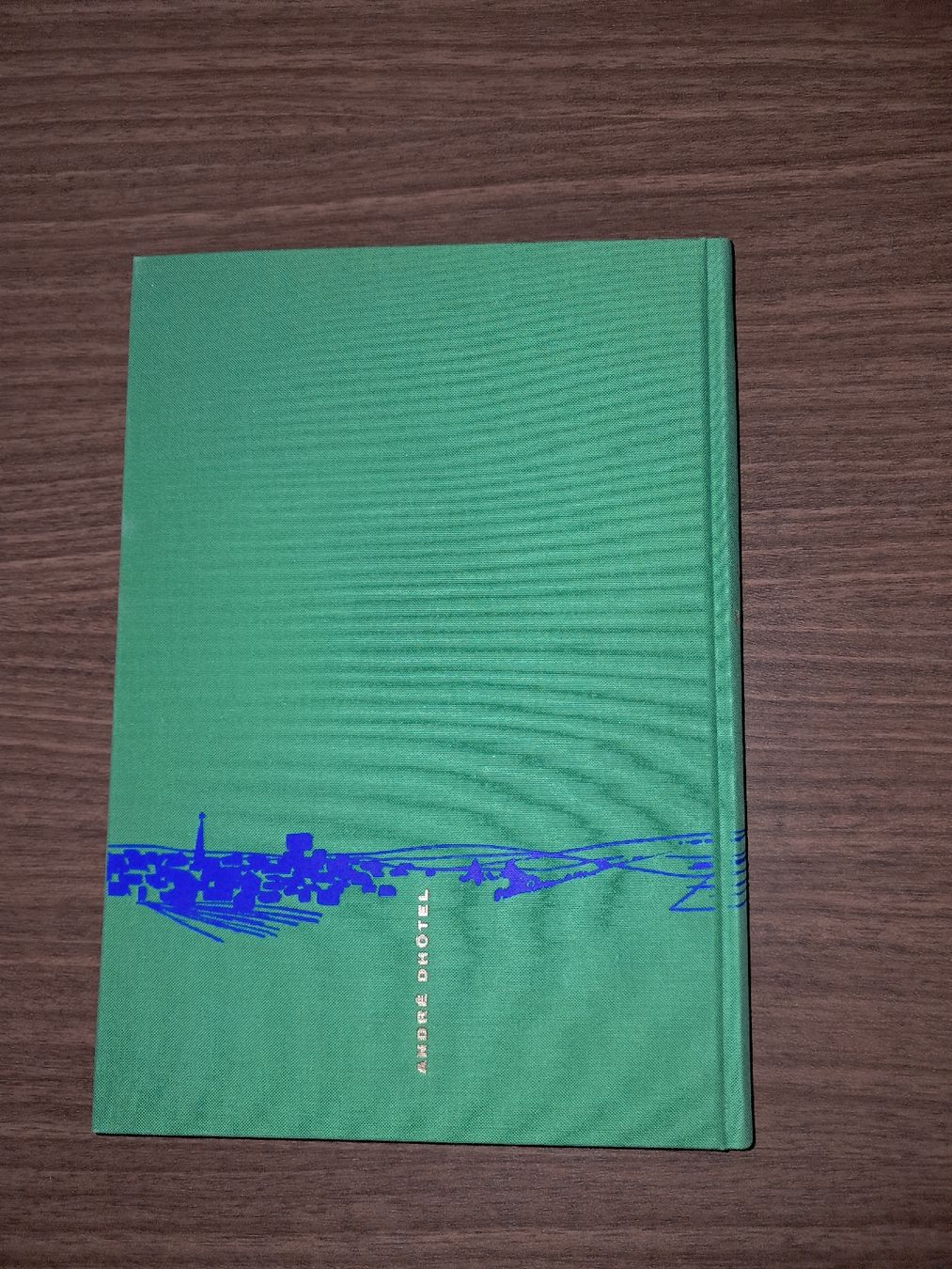 Libri: Le Plateau de Mazagran de André Dhôtel – Usato da Le locle venduto da juliensaran 3