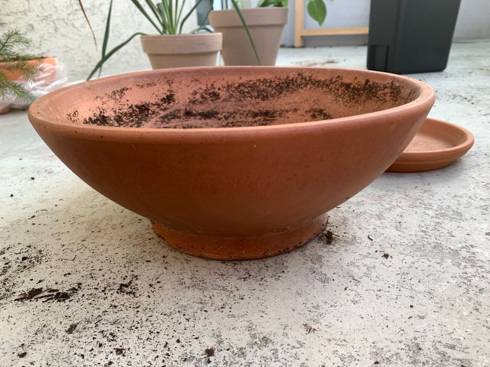 Pflanzentopf / Gartenkübel mit Untersetzer, Ton, ⌀ 30cm Kaufen auf