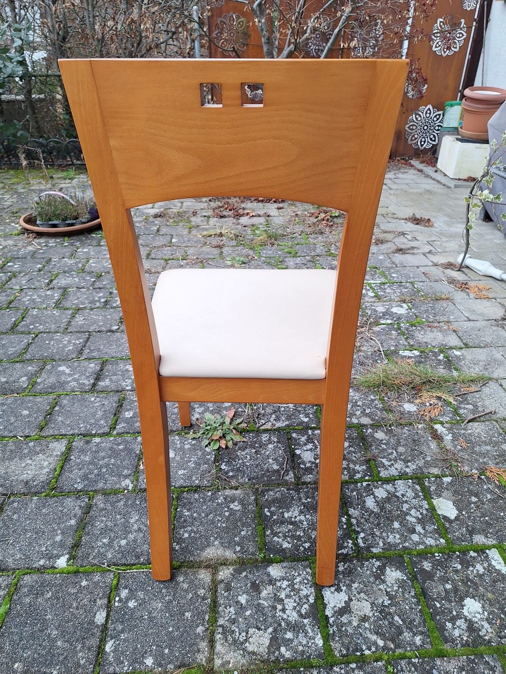 Sedie: 6 x Stühle – Usato da Müntschemier venduto da Fee_00 2