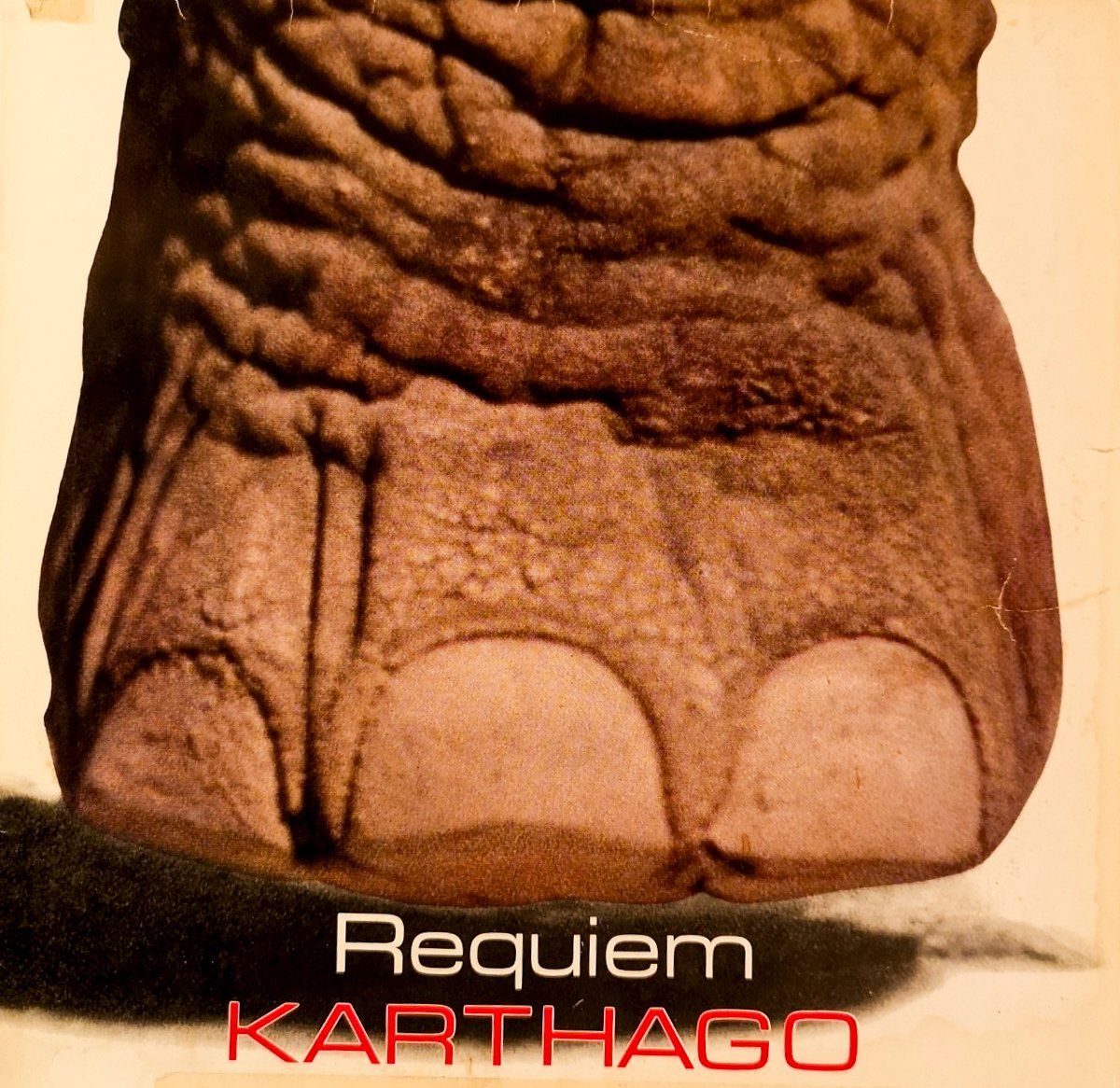 Dischi in vinile: Karthago - " Requiem" (LP - Rock 1983)) – Usato da Sargans venduto da Botanico