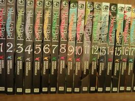 Manga Set auf Englisch