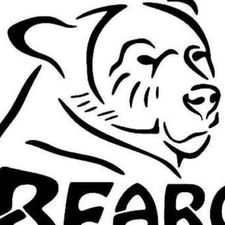 Profile image of Bearcade-Pinball