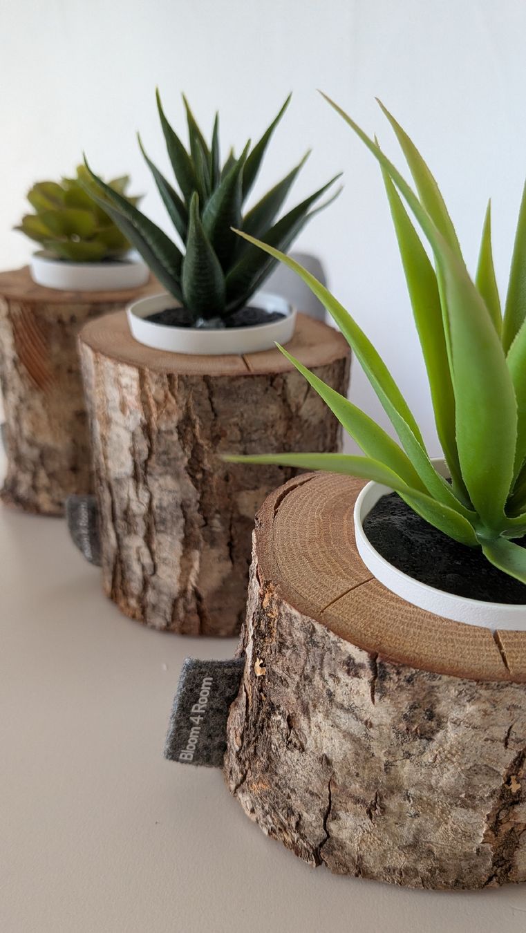 Toutes les décorations: 3 small tree stump log planters decorative – D'occasion à Adlikon b.Regensdf par foofdoll84 2