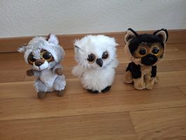 3 Beanie Boos (ty): Waschbär, Schneeeule und Hund