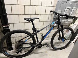 Wheeler Mountainbike Herren