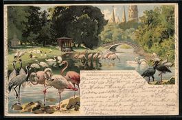 Litho Berlin, Neptunteich im Zoologische