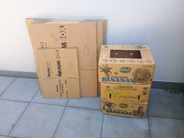 Bananen- und Umzugskartons