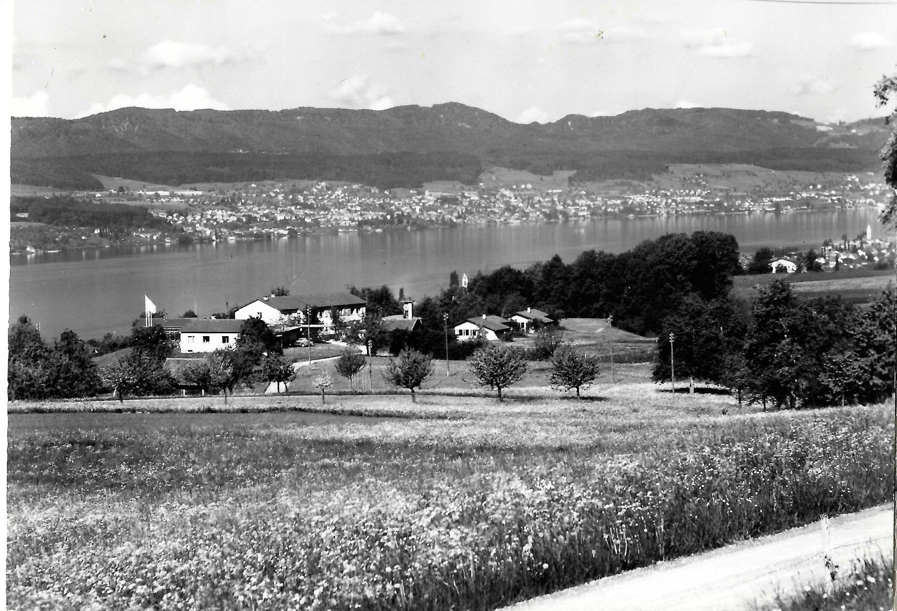 Cartoline postali: Männedorf ZH Boldern Ref. Heimstätte , 1959 – Usato da Solothurn venduto da Bepposol