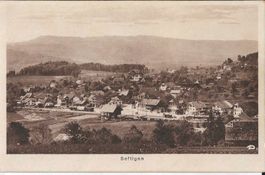 Karte Seftigen