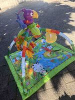 Spielmatte Baby mit Spielbogen bunt von Fisher Price