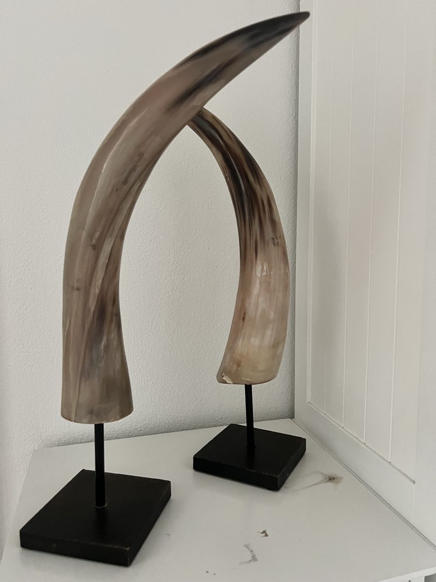 Maisons du monde Tutte le decorazioni: Mounted Horns Sculpture on Stands - Rustic Home Decor – Usato da Altendorf venduto da EncoreStyle 4
