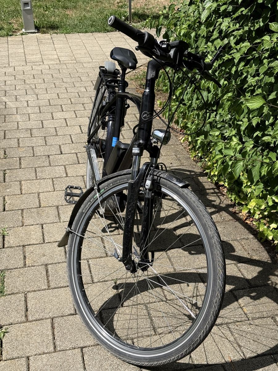 Riese & Müller Biciclette: Riese & Müller e-Bike Blue Label, Modell 2014 2x Akku – Usato da Urdorf venduto da noelfaris 3