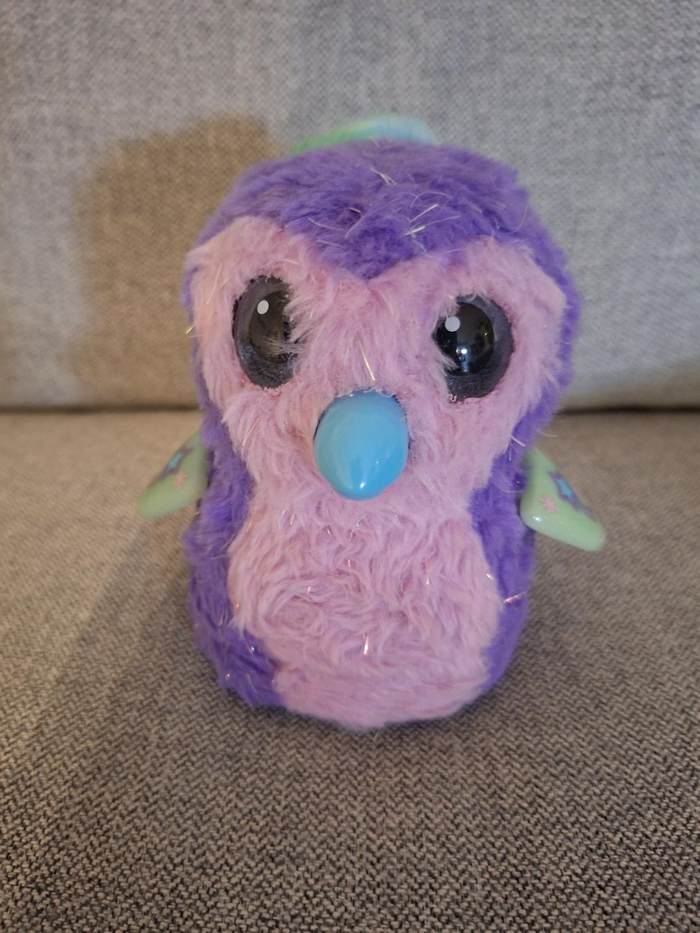 Hatchimals Spielzeuge: Hatchimal plus bewegende Spinne – Gebraucht aus Oberwil BL von Nisli99 1