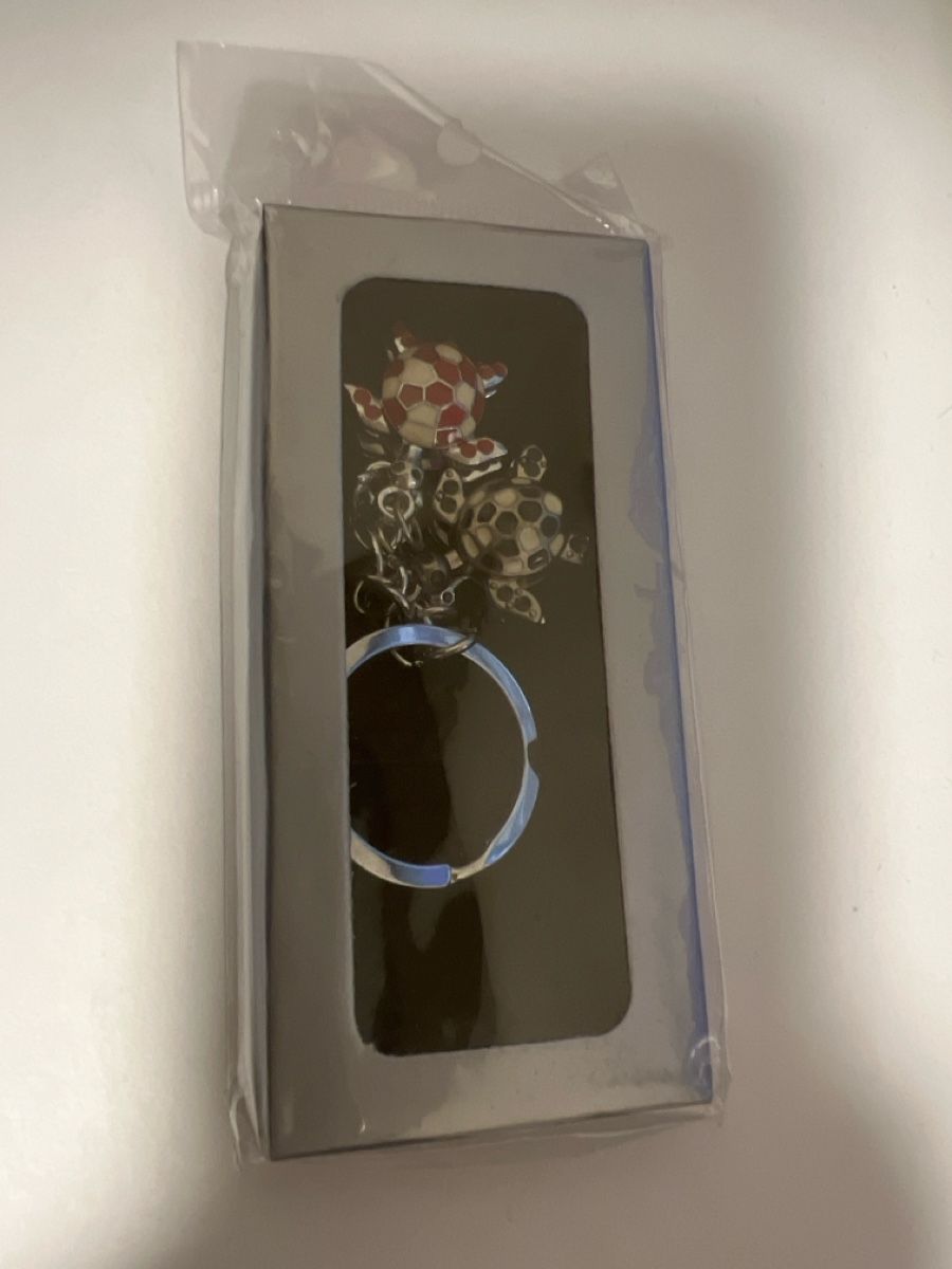 Schlüsselanhänger & - bänder: Turtle Design Key Chain with Two Charms New in Box – Neu (gemäss Beschreibung) aus Mülligen von vagos85