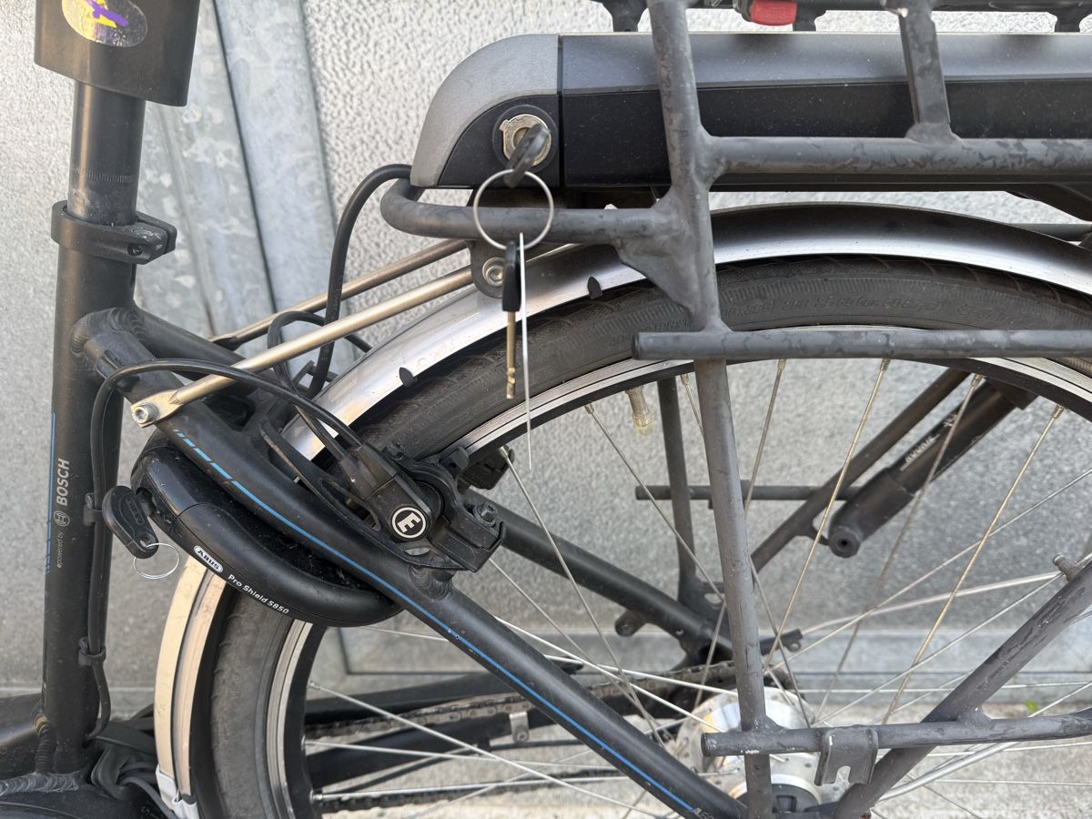 Hercules Velos: Hercules Roberta E-Bike mit Bosch Active Line Motor  – Gebraucht aus Oberentfelden von speed_71 2