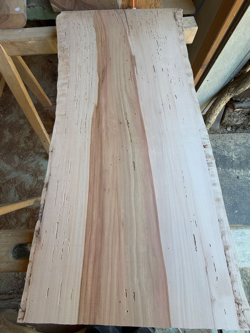 Articoli in legno: Apfel Brett wurmig trocken – Nuovo (secondo la descrizione) da Holziken venduto da Timbergrizzly 3