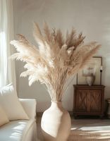 Pampas Gras